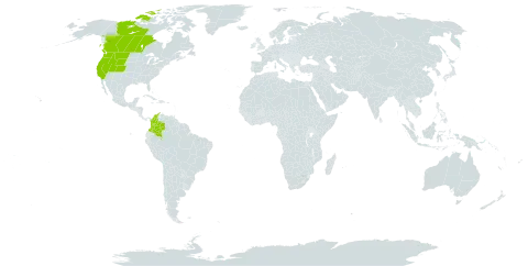 Calamagrostis rubescens world distribution map, present in Canada, Colombia, and United States of America