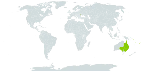 Calamus vitiensis world distribution map, present in Australia, Fiji, Moldova (Republic of), Solomon Islands, and Vanuatu