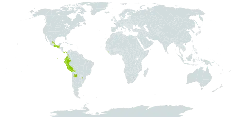 Calceolaria chelidonioides world distribution map, present in Argentina, Bolivia (Plurinational State of), Colombia, Ecuador, Guatemala, Jamaica, Sri Lanka, Mexico, Panama, and Peru