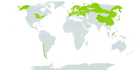 Calla world distribution map, present in Austria, Belarus, Switzerland, Chile, China, Czech Republic, Germany, Denmark, Finland, France, Micronesia (Federated States of), Japan, Malaysia, Netherlands, Norway, Poland, Korea (Democratic People's Republic of), Romania, Russian Federation, Sweden, Turks and Caicos Islands, Ukraine, and United States of America