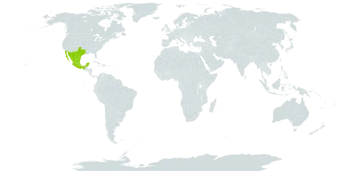 Calliandra conferta world distribution map, present in Mexico and United States of America