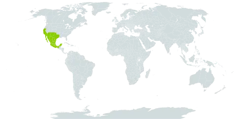 Calliandra eriophylla world distribution map, present in Mexico and United States of America