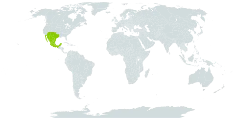 Calliandra humilis world distribution map, present in Mexico and United States of America