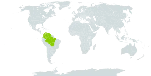 Calliandra laxa var. stipulacea world distribution map, present in Brazil, Colombia, Guyana, and Venezuela (Bolivarian Republic of)