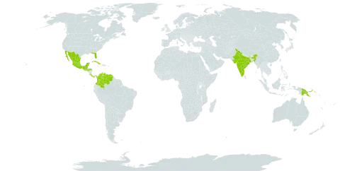 Calliandra tergemina var. emarginata world distribution map, present in Belize, Colombia, Costa Rica, Cuba, Guatemala, Honduras, India, Sri Lanka, Mexico, Panama, Papua New Guinea, United States of America, and Venezuela (Bolivarian Republic of)