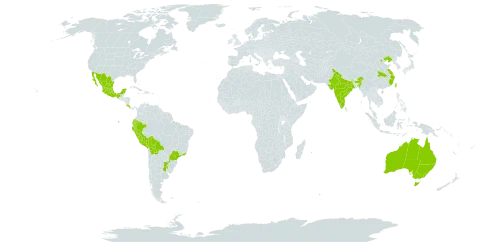 Callianthe picta world distribution map, present in Argentina, Australia, Bolivia (Plurinational State of), Brazil, China, Costa Rica, Ecuador, India, Mexico, Peru, Portugal, Paraguay, Réunion, Taiwan, Province of China, and Uruguay