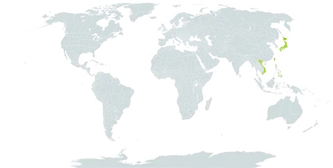 Callicarpa dolichophylla world distribution map, present in Japan, Philippines, Taiwan, Province of China, and Viet Nam