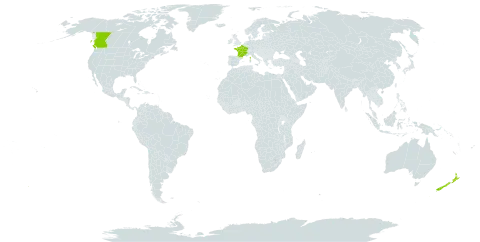 Callitriche hamulata world distribution map, present in Canada, France, and New Zealand