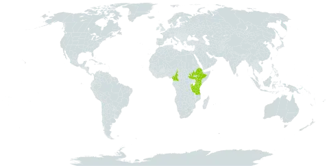 Callitriche oreophila world distribution map, present in Burundi, Cameroon, Ethiopia, Kenya, Rwanda, South Sudan, Tanzania, United Republic of, and Uganda