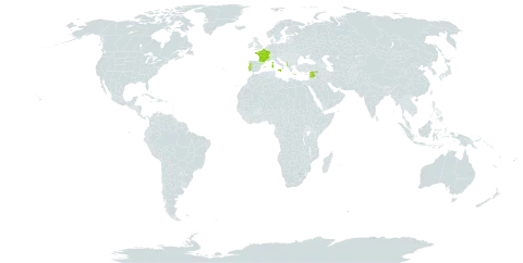 Callitriche truncata subsp. occidentalis world distribution map, present in Albania, Spain, France, Greece, Italy, Lebanon, Malta, Portugal, and Syrian Arab Republic