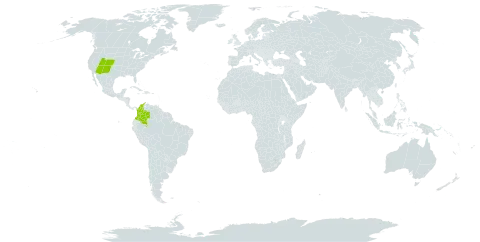 Calochortus aureus world distribution map, present in Colombia and United States of America