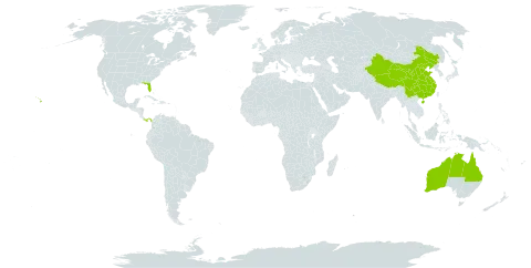 Calophyllum world distribution map, present in Australia, China, Panama, and United States of America