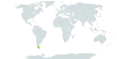 Calophyllum neoebudicum world distribution map, present in Argentina, American Samoa, Fiji, Indonesia, Papua New Guinea, Solomon Islands, Tonga, Vanuatu, Wallis and Futuna, and Samoa