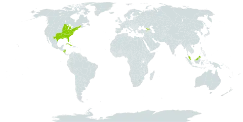 Calopogon tuberosus world distribution map, present in Åland Islands, Bahamas, Cuba, Micronesia (Federated States of), Georgia, Malaysia, Nicaragua, and United States of America