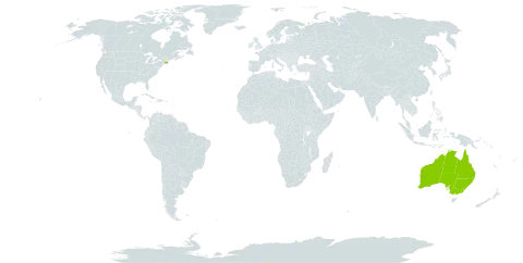 Calotis cuneifolia world distribution map, present in Australia, United Kingdom of Great Britain and Northern Ireland, and United States of America