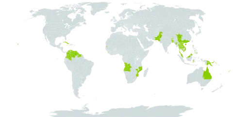 Calotropis gigantea world distribution map, present in Angola, Australia, Bangladesh, Bhutan, China, Colombia, Cuba, Fiji, Guam, Guyana, Indonesia, India, Cambodia, Kiribati, Lao People's Democratic Republic, Sri Lanka, Maldives, Myanmar, Mozambique, Malaysia, Niue, Nepal, Pakistan, Philippines, Papua New Guinea, Suriname, Seychelles, Thailand, Trinidad and Tobago, United States Minor Outlying Islands, United States of America, Venezuela (Bolivarian Republic of), and Viet Nam