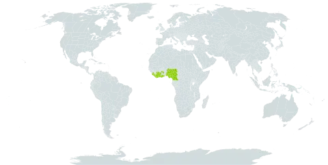 Calpocalyx winkleri world distribution map, present in Côte d'Ivoire, Cameroon, Ghana, Liberia, Nigeria, and Sierra Leone