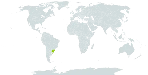 Calyculogygas uruguayensis world distribution map, present in Brazil and Uruguay