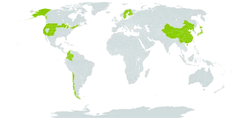 Calypso bulbosa world distribution map, present in Chile, China, Colombia, Finland, Micronesia (Federated States of), Japan, Montenegro, Korea (Democratic People's Republic of), Sweden, and United States of America