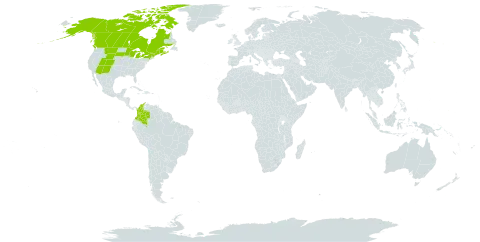 Calypso bulbosa var. americana world distribution map, present in Canada, Colombia, Micronesia (Federated States of), and United States of America