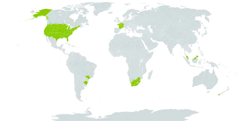 Calystegia sepium world distribution map, present in Brazil, France, Malaysia, New Zealand, United States of America, and South Africa