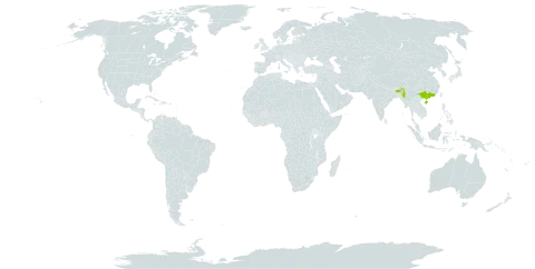 Camellia fluviatilis world distribution map, present in China, India, Myanmar, and Philippines