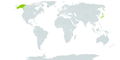 Campanula dasyantha subsp. chamissonis world distribution map, present in Japan and United States of America