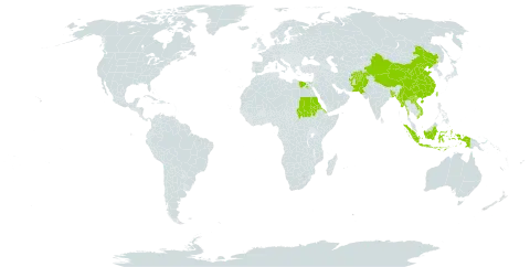 Campanula dimorphantha world distribution map, present in Afghanistan, Bangladesh, China, Egypt, Eritrea, Indonesia, Lao People's Democratic Republic, Myanmar, Nepal, Pakistan, Sudan, Taiwan, Province of China, and Viet Nam