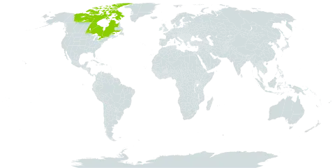 Campanula gieseckeana world distribution map, present in Canada and France