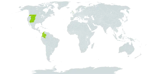 Campanula parryi world distribution map, present in Colombia, United Kingdom of Great Britain and Northern Ireland, and United States of America