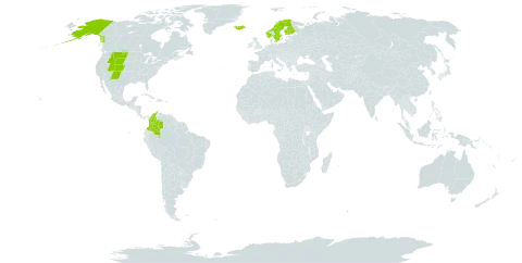 Campanula uniflora world distribution map, present in Colombia, Finland, Iceland, Norway, Svalbard and Jan Mayen, Sweden, and United States of America