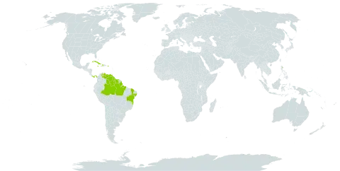 Campylocentrum micranthum world distribution map, present in Brazil, Cuba, Dominica, Guyana, Haiti, Jamaica, Panama, Puerto Rico, Suriname, and Venezuela (Bolivarian Republic of)