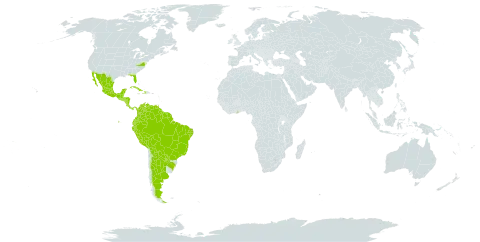 Canavalia brasiliensis world distribution map, present in Argentina, American Samoa, Antigua and Barbuda, Bonaire, Sint Eustatius and Saba, Belize, Bolivia (Plurinational State of), Brazil, Barbados, Colombia, Costa Rica, Cuba, Ecuador, Ghana, Guatemala, French Guiana, Guyana, Honduras, Haiti, Mexico, Nicaragua, Panama, Peru, Paraguay, Singapore, El Salvador, Suriname, Trinidad and Tobago, United States of America, and Venezuela (Bolivarian Republic of)