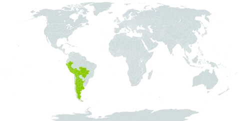 Canavalia piperi world distribution map, present in Argentina, American Samoa, Bolivia (Plurinational State of), Brazil, and Peru