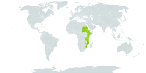 Canthium oligocarpum world distribution map, present in Burkina Faso, Ethiopia, Kenya, Mozambique, Rwanda, Sudan, Tanzania, United Republic of, and Uganda