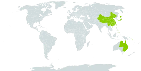 Capillipedium spicigerum world distribution map, present in Australia, China, Japan, Philippines, Solomon Islands, and Taiwan, Province of China