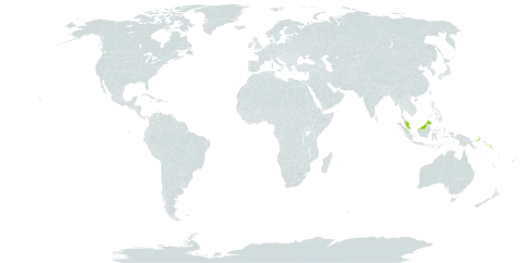 Capparis zippeliana world distribution map, present in Micronesia (Federated States of), Malaysia, Palau, Papua New Guinea, Solomon Islands, and United States of America