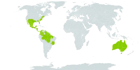 Capsicum annuum var. glabriusculum world distribution map, present in Australia, Belize, Brazil, Colombia, Costa Rica, Micronesia (Federated States of), Guam, Guyana, Honduras, Kiribati, Mexico, Marshall Islands, Northern Mariana Islands, Nicaragua, Panama, Palau, Suriname, United States Minor Outlying Islands, United States of America, and Venezuela (Bolivarian Republic of)