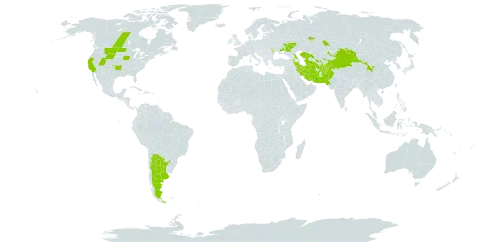 Caragana halodendron world distribution map, present in Afghanistan, Argentina, Armenia, Azerbaijan, Canada, China, Iran (Islamic Republic of), Kazakhstan, Kyrgyzstan, Moldova (Republic of), Mongolia, Pakistan, Russian Federation, Tajikistan, Turkmenistan, Ukraine, United States of America, and Uzbekistan