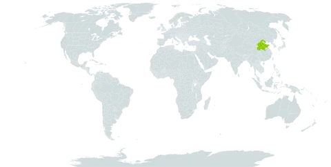 Caragana leveillei world distribution map, present in China