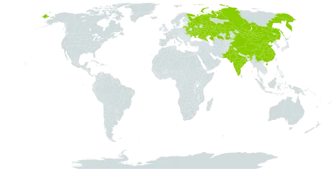 Caragana versicolar world distribution map, present in Belarus, China, India, Kazakhstan, Lithuania, Moldova (Republic of), Mongolia, Nepal, Pakistan, Russian Federation, and Ukraine