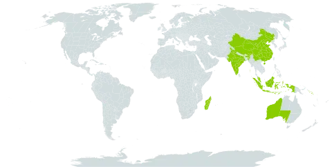 Carallia world distribution map, present in Australia, China, Indonesia, India, Madagascar, Malaysia, and Solomon Islands