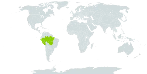 Carapichea adinantha world distribution map, present in Brazil and Peru