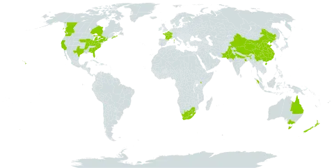 Cardamine flexuosa world distribution map, present in Australia, Bhutan, Canada, China, France, Indonesia, India, Kenya, New Zealand, Pakistan, Philippines, United States of America, and South Africa