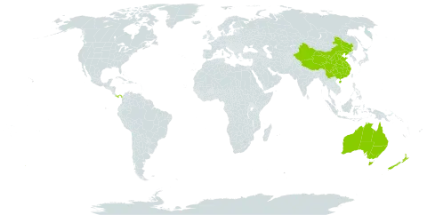 Cardamine world distribution map, present in Australia, China, New Zealand, and Panama