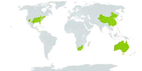 Cardiospermum world distribution map, present in Australia, China, Panama, United States of America, and South Africa