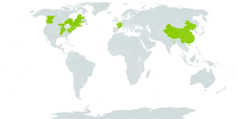 Carduus crispus world distribution map, present in Canada, China, France, United Kingdom of Great Britain and Northern Ireland, India, and United States of America