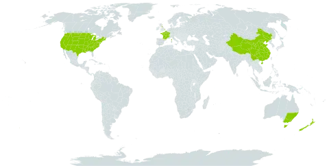 Carduus nutans world distribution map, present in Australia, China, France, United Kingdom of Great Britain and Northern Ireland, New Zealand, and United States of America