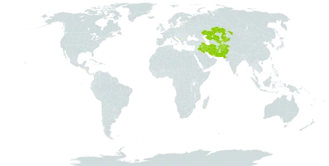 Carex alatauensis world distribution map, present in Afghanistan, Iran (Islamic Republic of), Iraq, Kazakhstan, Kyrgyzstan, Montenegro, Nepal, Pakistan, Turks and Caicos Islands, and Uzbekistan