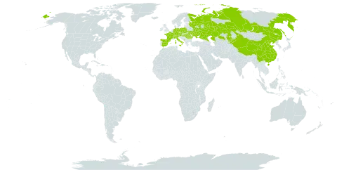 Carex alba world distribution map, present in Austria, Switzerland, China, Czech Republic, Germany, Spain, France, Hungary, Italy, Kazakhstan, Kyrgyzstan, Montenegro, Poland, Romania, Russian Federation, and Ukraine